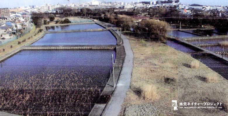 写真左側、四角形に区切られた水産試験場の圃場が続いています。陸地を挟んで写真右側に中央水路と圃場が見えます。