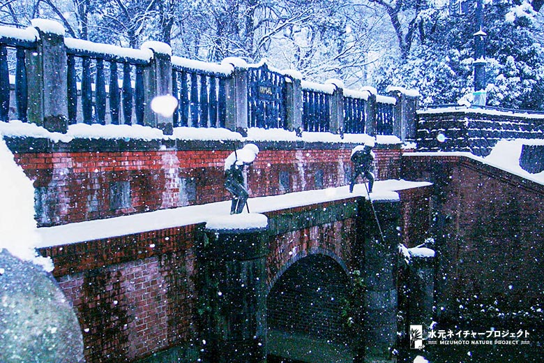 雪に覆われた閘門橋。