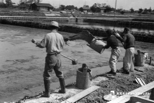 水の抜けた池に職員が柄杓や桶で人糞をまいている。