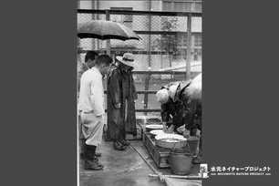雨の中傘をさして待つ市民と、雨具を着て稚魚をバケツに入れる職員。