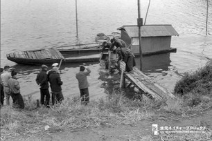 職員が桟橋から鯉を放流するのを見守る人々。桟橋の奥に小舟が一艘ある。