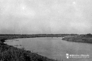 湾曲した江戸川と土手の風景。